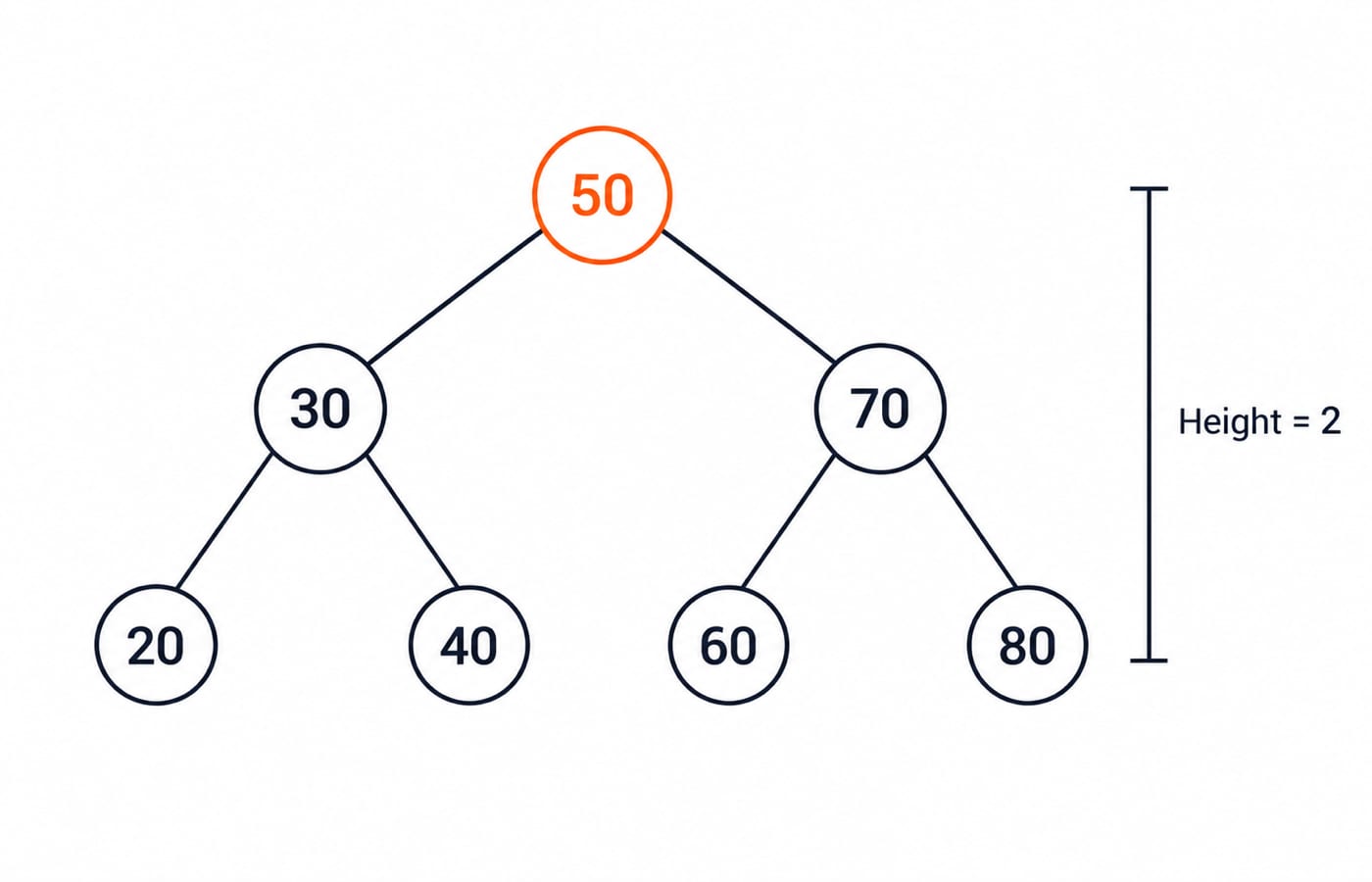a small BST. Root 50, with left child 30 and right child 70. Node 30 has children 20 (left) and 40 (right). Node 70 has children 60 (left) and 80 (right). Seven nodes, height 2.