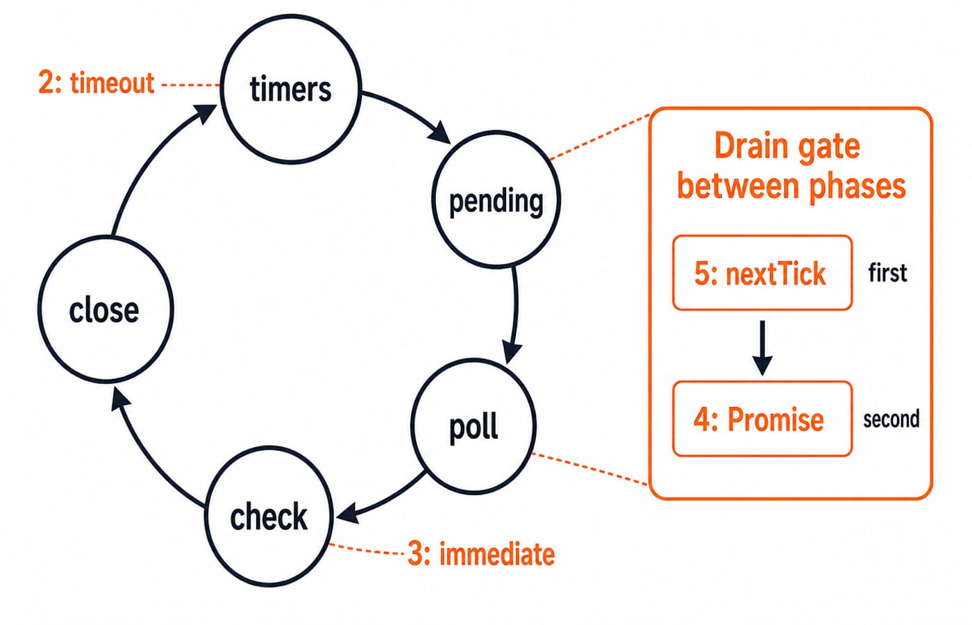 Ring of the libuv phases timers, pending, poll, check and close, with the traced timeout callback at timers, the immediate at check, and a side panel draining nextTick before Promise.