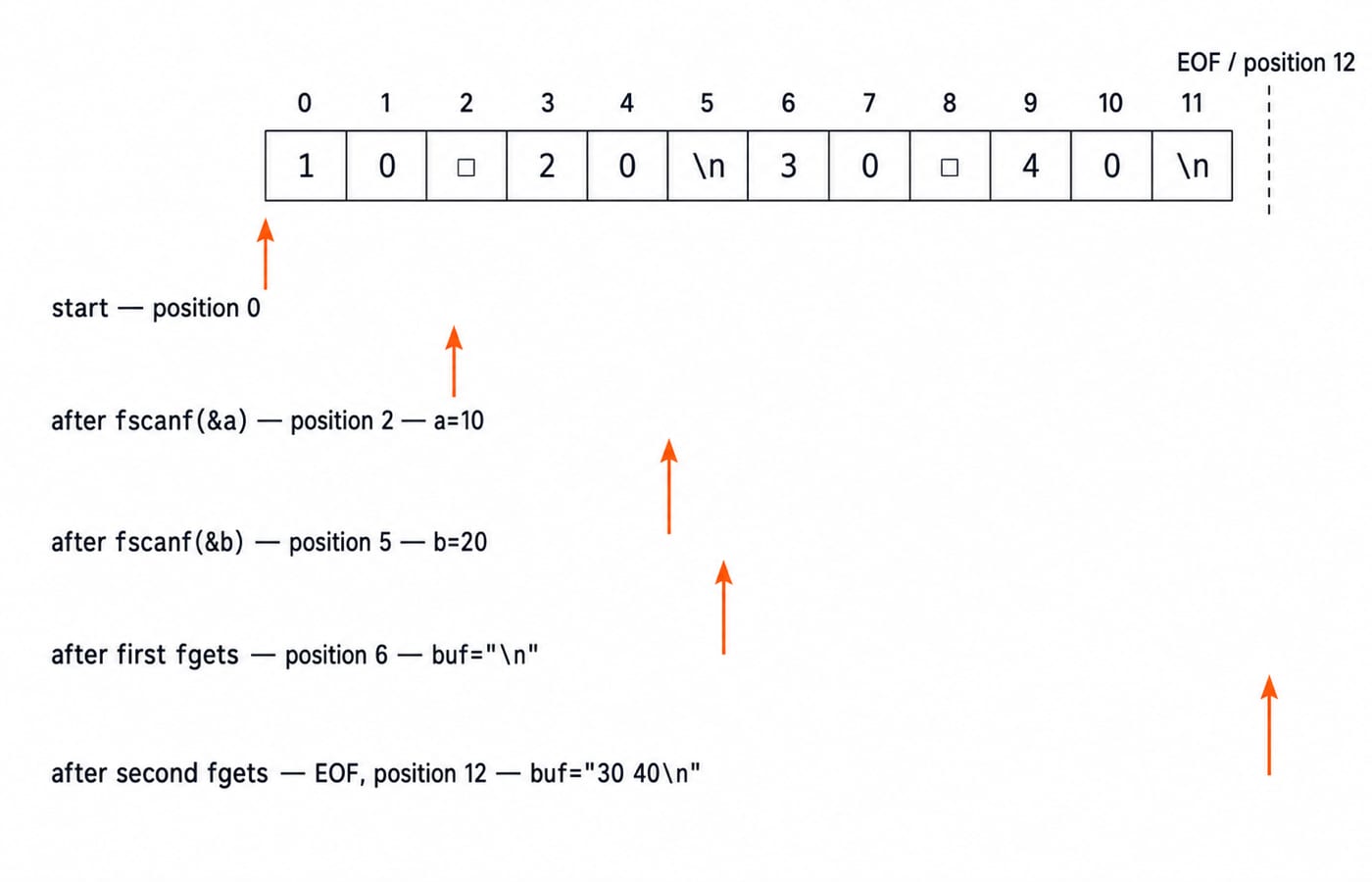 A byte-position trace of 10 20\n30 40\n with byte indices 0 through 11 and arrows at start position 0, after fscanf(&a) position 2 with a=10, after fscanf(&b) position 5 with b=20, after the first fgets position 6 with buf="\n", and after the second fgets at EOF position 12 with buf="30 40\n".