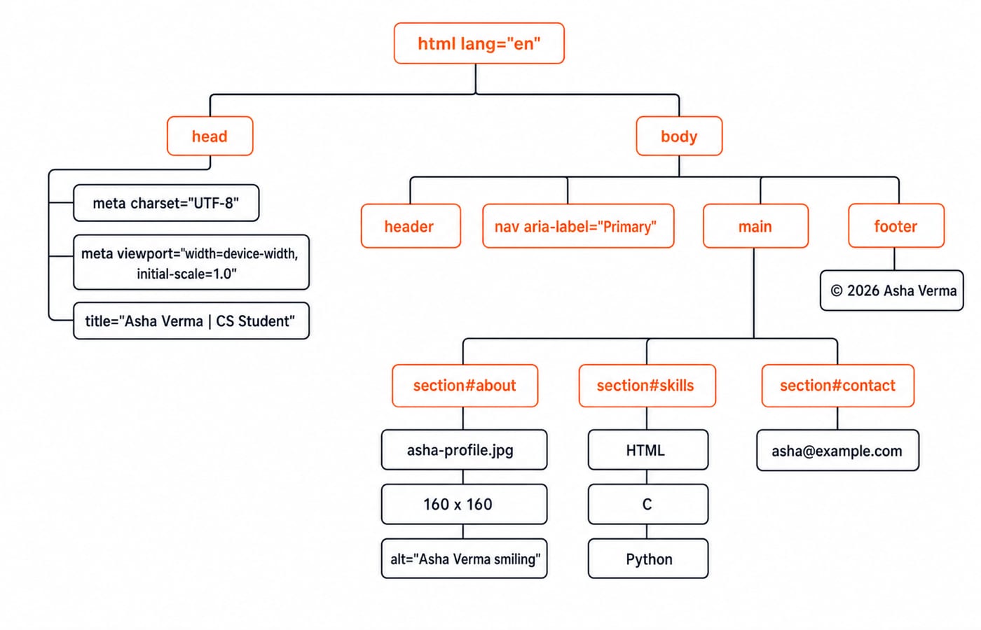 DOM tree of Asha's profile page, from the html root down through head and body to the about, skills and contact sections.
